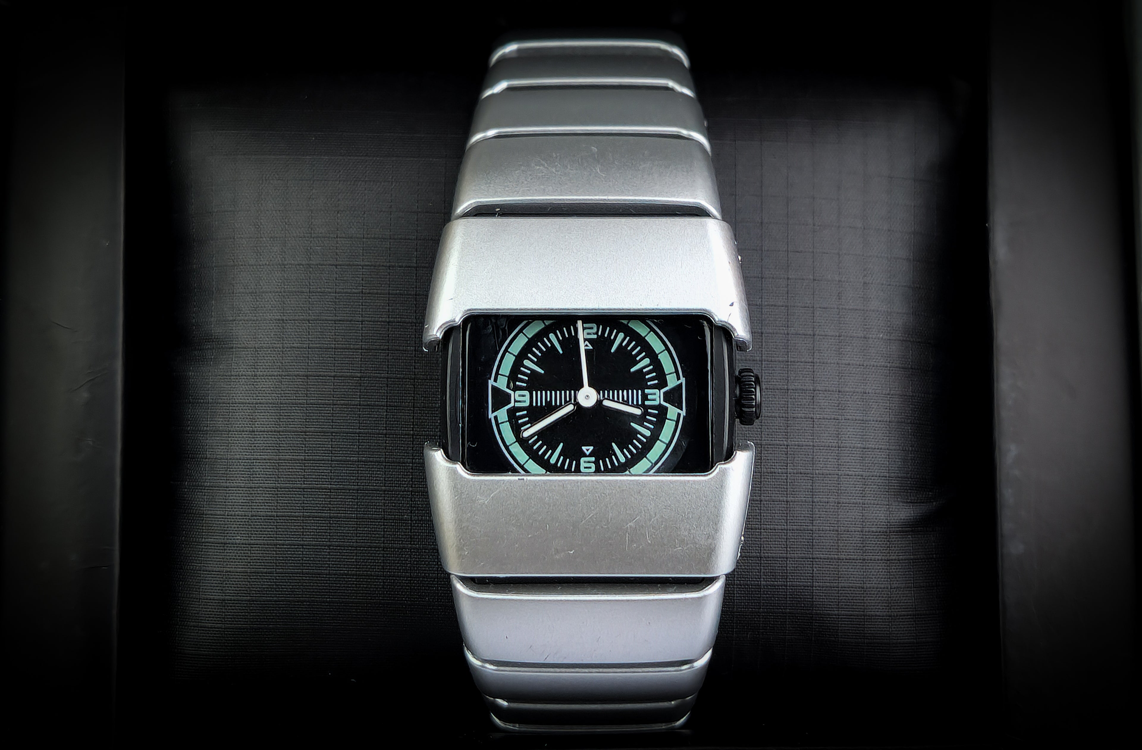 𝐙𝐚𝐲𝐫𝐨𝐧 𝐒𝐞𝐫𝐩𝐞𝐧𝐭 𝐅𝐥𝐞𝐱