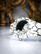 𝐙𝐚𝐲𝐫𝐨𝐧 𝐅𝐫𝐨𝐬𝐭𝐂𝐨𝐫𝐞